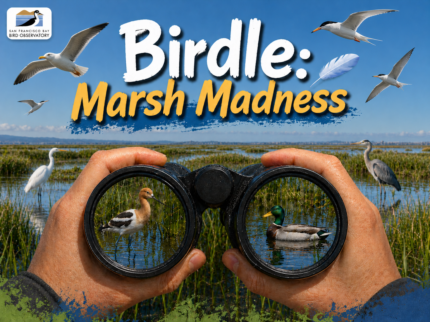 Birdle: Marsh Madness poster